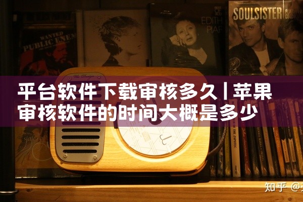 平台软件下载审核多久