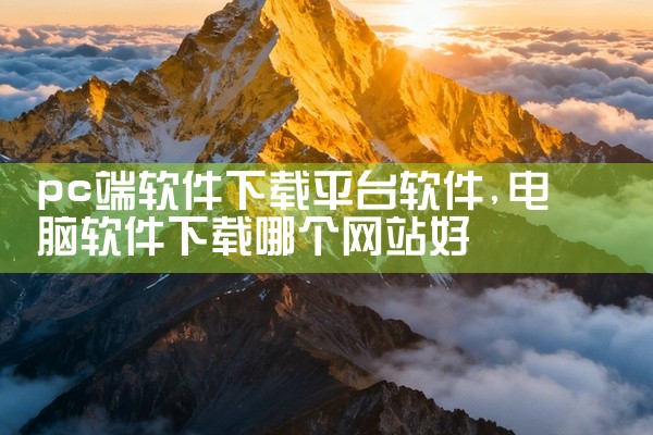 pc端软件下载平台软件