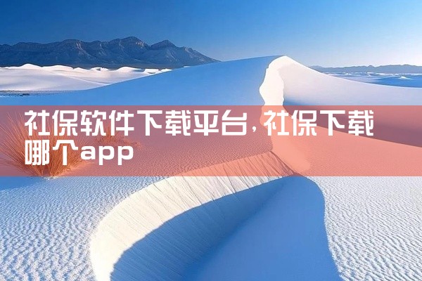 社保软件下载平台