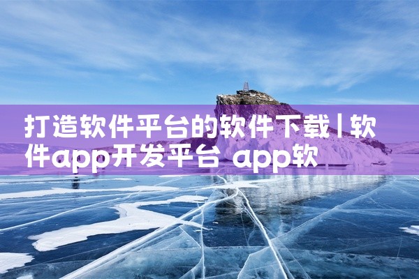 打造软件平台的软件下载
