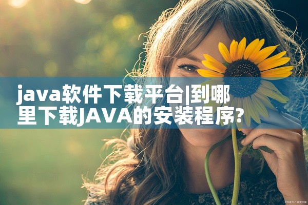java软件下载平台
